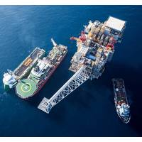 Tamar Platform (Photo: Delek)