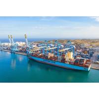 The world's first commercial-scale e-methanol plant began operations in Denmark on Tuesday, with shipping giant Maersk set to buy part of the production as a low-emission fuel for its fleet of container ships. Credit: Adobe Stock/aapsky