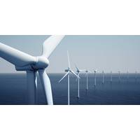 © zentilia / Adobe Stock