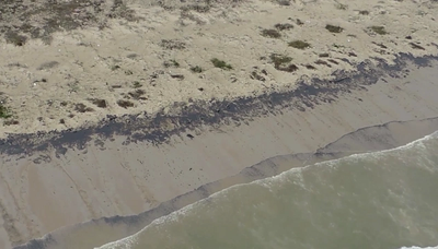 Beach, Matagorda Bay: USCG Photo