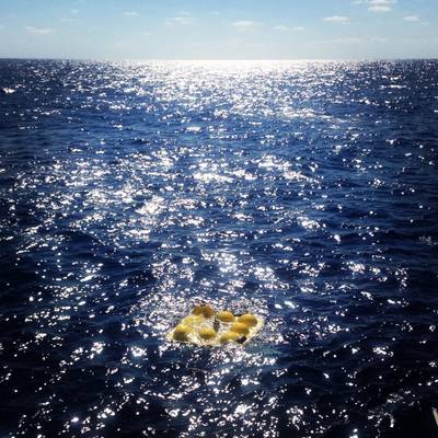 ECOGIG Recovered Lander. This Seafloor Lander was recovered at Sea in November of 2012. (Photo Credit: Beth Orcutt, ECOGIG Consortium, University of Mississippi)