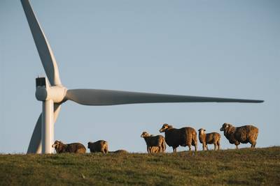 Hornsdale (Photo: Neoen - Siemens)