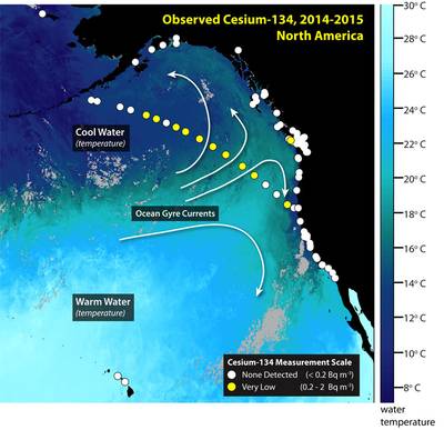 Photo courtesy of  Woods Hole Oceanographic Institution