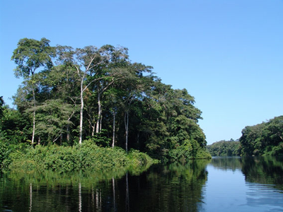 Photo: Salonga National Park