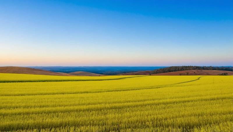Australia pledges $735 million for biofuel development