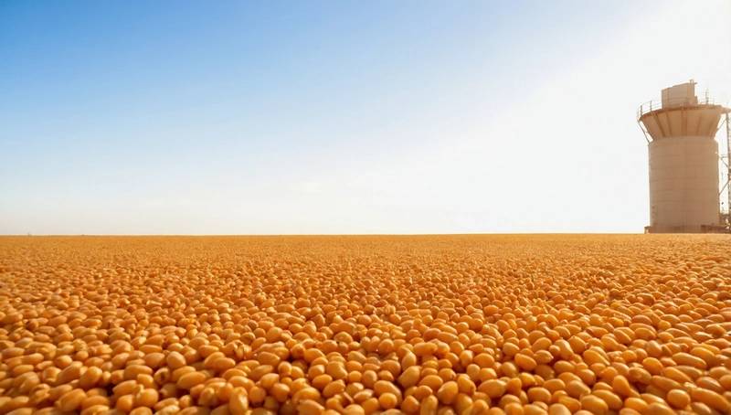 Chicago soybeans drop after US biofuels proposal is a disappointment; corn pulls away
