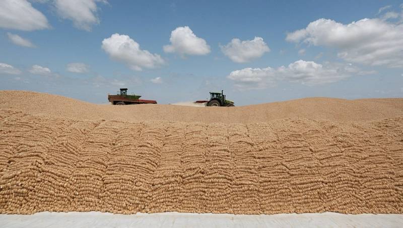 Brazil's January soy exports are below expectations, say traders