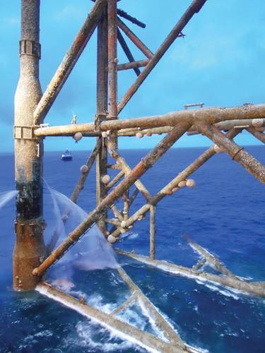 A common ling, Molva molva, swims amongst an almost coral reef-like habitat created by oil and gas infrastructure. Image from Insite.
