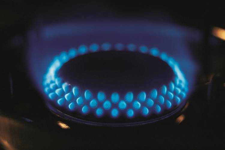 Flame Gas Burner (Photo: DNV GL )