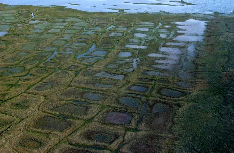 Permafrost forms a grid-like pattern in the National Petroleum Reserve-Alaska, a 22.8 million acre region managed by the Bureau of Land Management on Alaska's North Slope. USGS has periodically assessed oil and gas resource potential there. (Credit: David Houseknecht, USGS.)