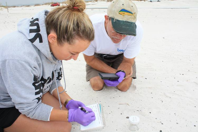 WHOI researcher Catherine Carmichael works alongside high school science teacher Shawn Walker to collect oiled sand patty samples for analysis. (Photo by Danielle Groenen, Deep-C Consortium)