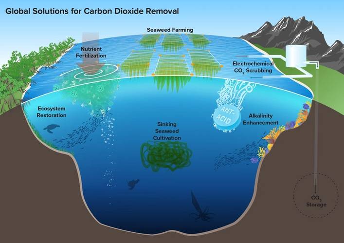 While ocean-based carbon dioxide removal can take a multitude of forms, there are at least six prominent methods (represented here) considered in the recently released NASEM report. © Woods Hole Oceanographic Institution, illustration by Natalie Renier