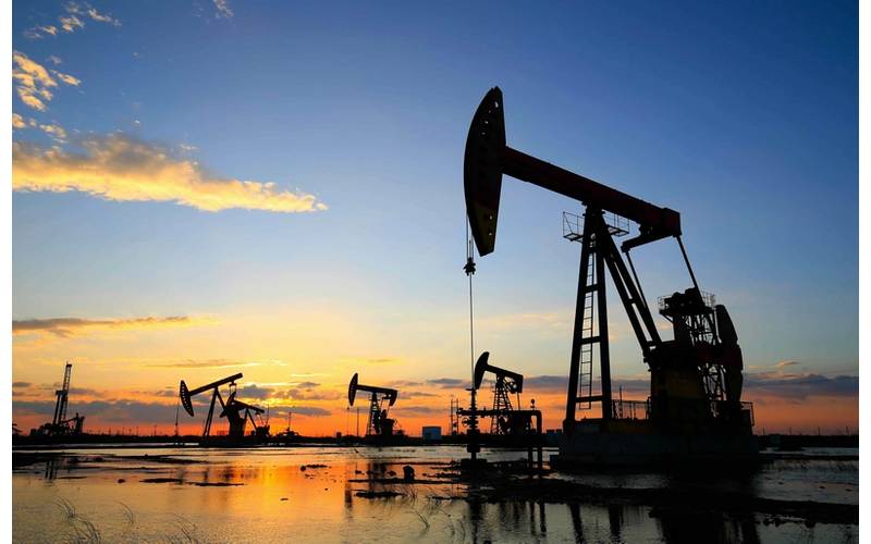 © Adobe Stock/杜 海珍