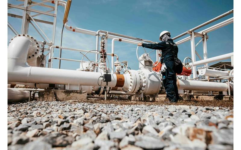 © Adobe Stock/chitsanupong