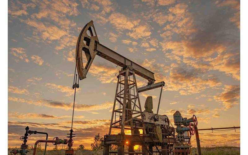 © Adobe Stock/Ded Pixto