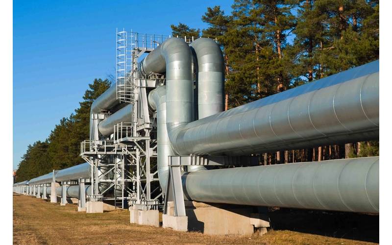 Adobe Stock/fotofotofoto