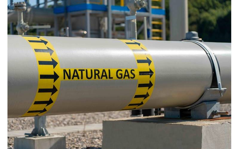 © Adobe Stock/SDF_QWE