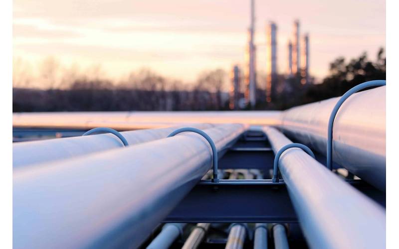 © Adobe Stock/tomas