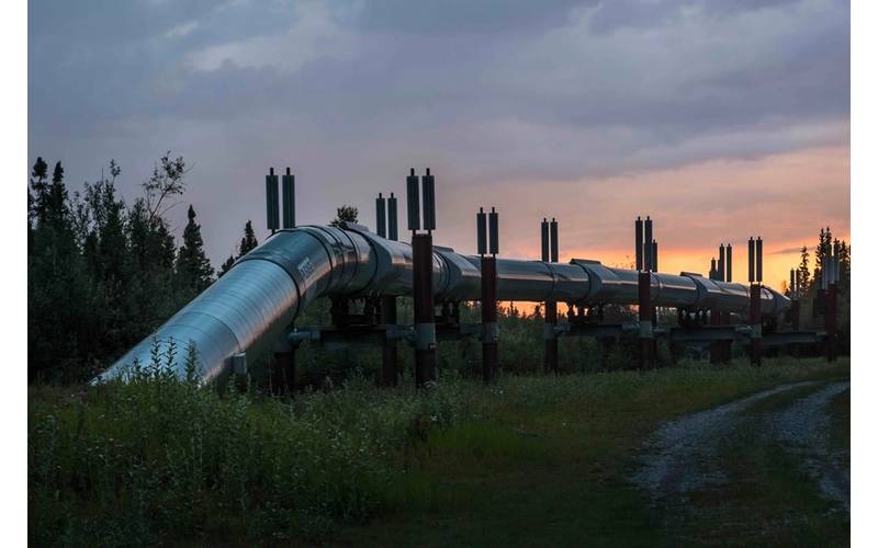 © Adobe Stock/Victoria Ditkovsky