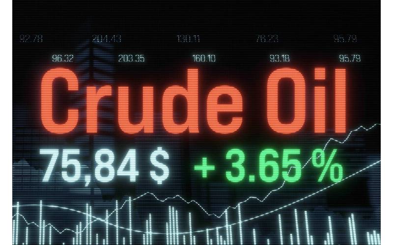 © Adobe Stock/Westlight